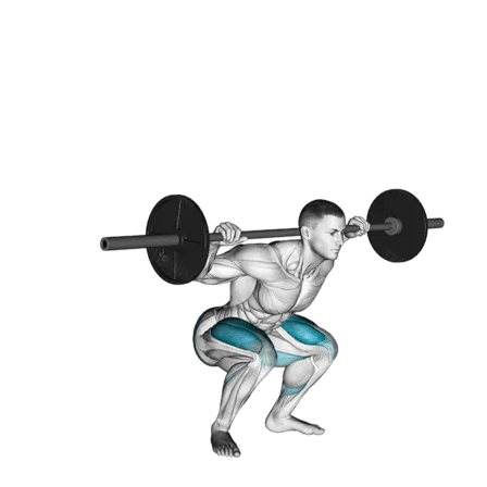 barbell back squat, squat guide, strength training, fitness, squats