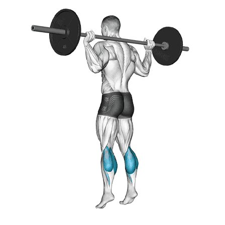 barbell calf raises, lower leg strength, fitness, strength training, calf exercises