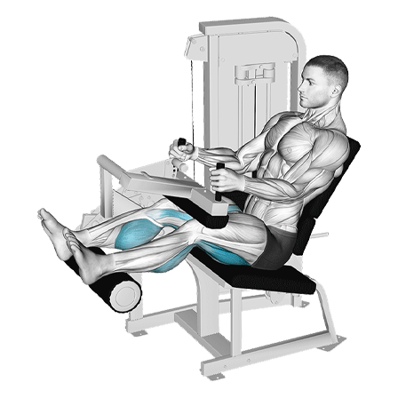 seated leg curls, hamstring activation, fitness, strength training, lower body