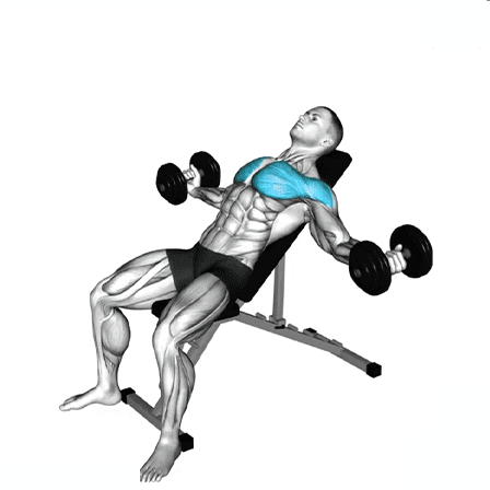 incline dumbbell fly, upper chest workout, chest strength, fitness, muscle development