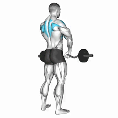 upright row, shoulder exercises, trap training, upper body workout, fitness