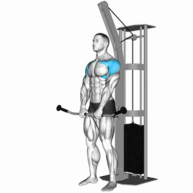cable front raise, front delts, shoulder isolation, shoulder workout, fitness