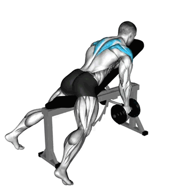 dumbbell reverse fly, rear delts, shoulder exercises, deltoid workout, fitness