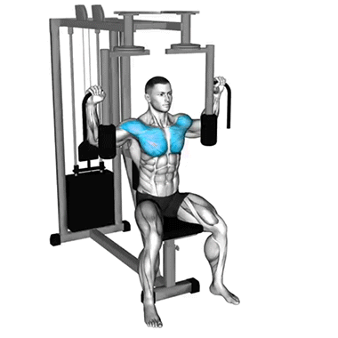 pec deck fly, chest isolation, chest workout, fitness, strength training