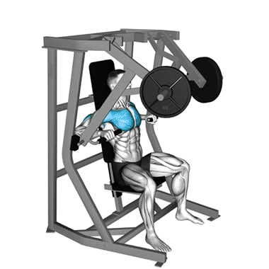 chest press machines, beginner chest exercises, fitness, strength training