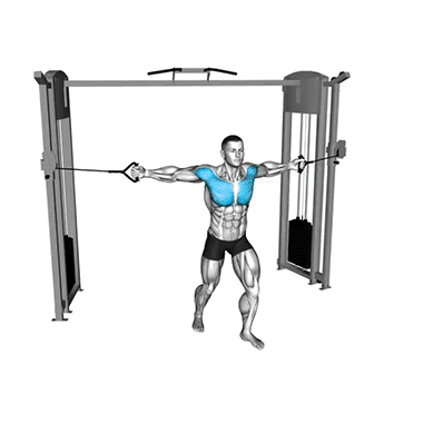 cable middle fly, chest isolation, chest workout, fitness, strength training