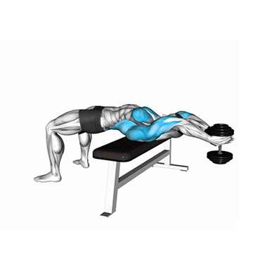 dumbbell pullover, chest and lats workout, fitness, upper body exercises, strength training