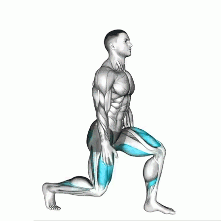 split squats, balance, strength training, fitness, lower body exercise