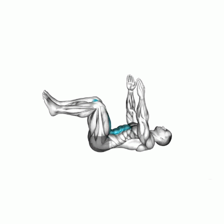 TheGymFaction Dead Bug Exercise Master Core Control