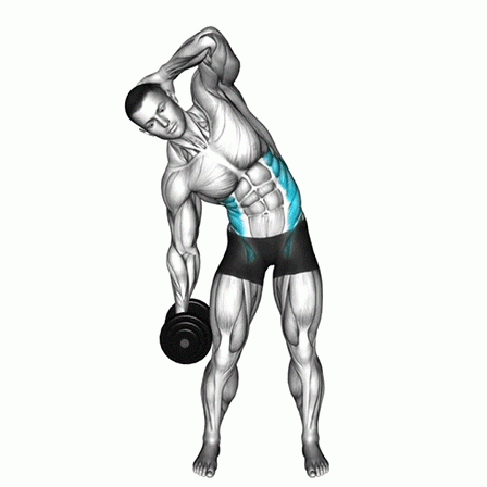 dumbbell side bend, obliques, core stability, fitness, strength training