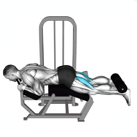 leg curl machines, hamstring exercises, fitness, strength training, lower body