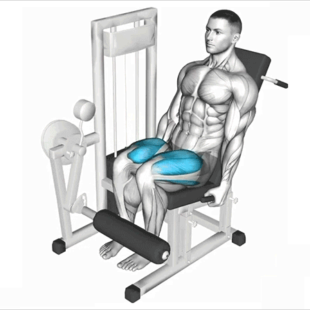 leg extensions, quad exercises, fitness, strength training, lower body workout