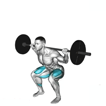 barbell back squat, squat guide, strength training, fitness, squats
