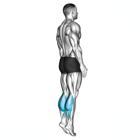 barbell calf raises, lower leg strength, fitness, strength training, calf exercises