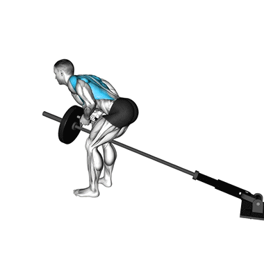 lever bent-over row, back isolation, back workout, strength training, fitness
